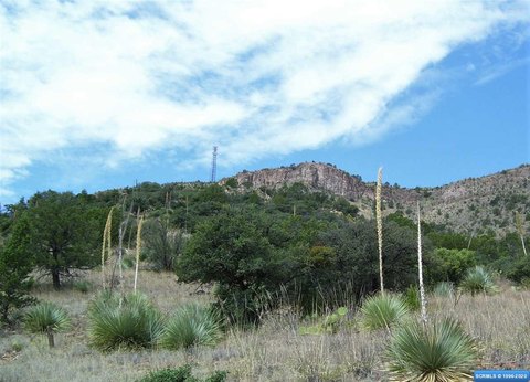 LAND - Mimbres, NM
