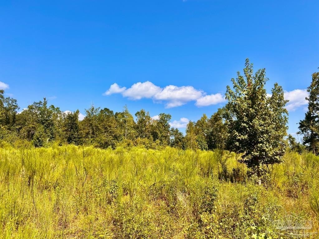 Molino, FL 4.8-Acre Land Parcel