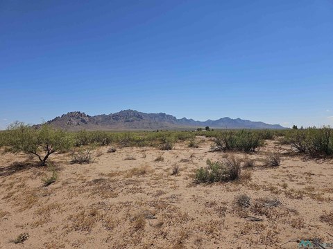 Land with Mountain Views
