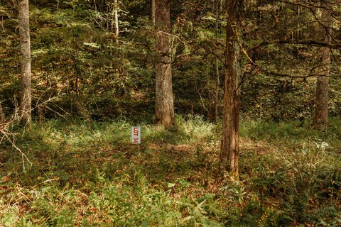 Land Near Red River Gorge