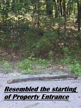 Stockton, MO Land For Sale