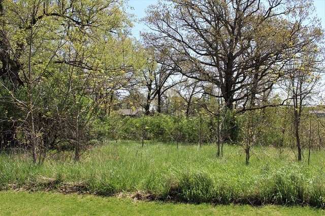 Residential Lot in Established Subdivision