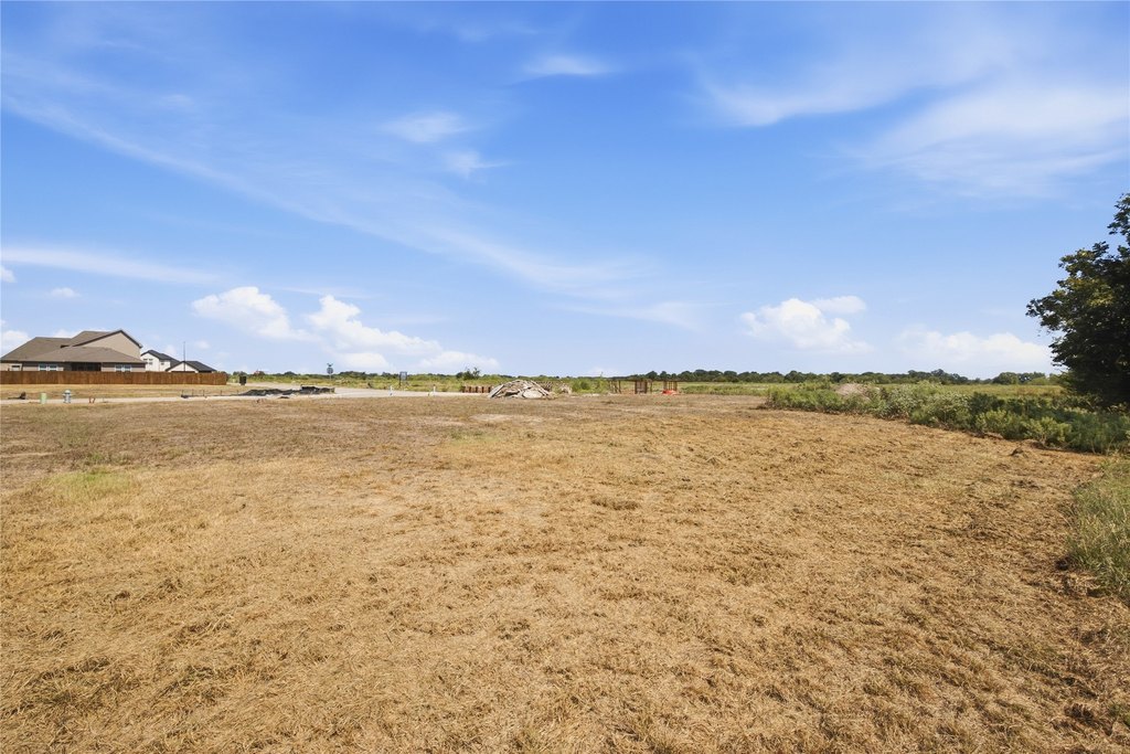 Picture 4