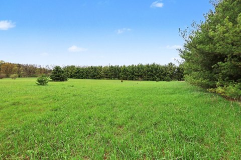 Land in Cedar Springs, MI