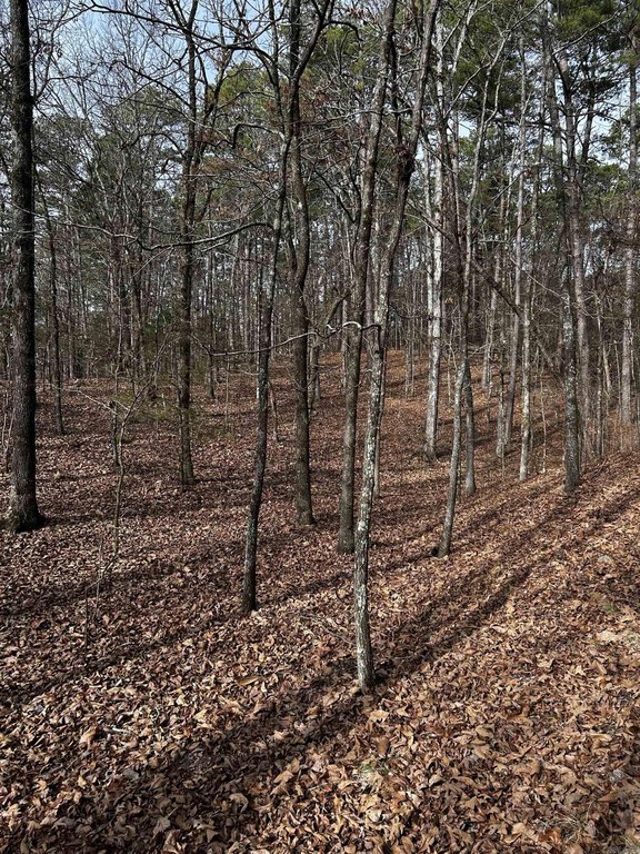 Picture 24