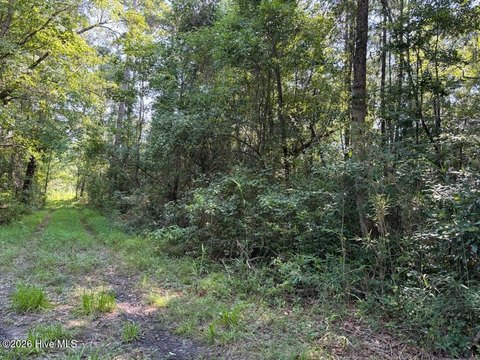 Land, Burgaw, NC