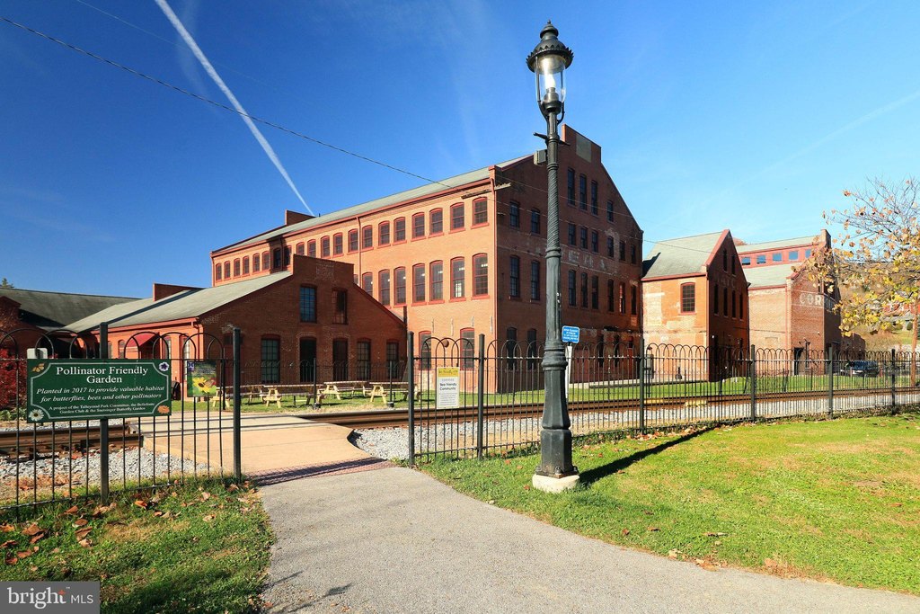 Picture 17