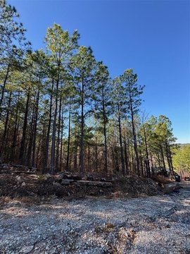 LAND - Broken Bow, OK