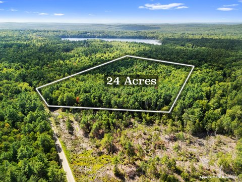 Wooded Land Parcel