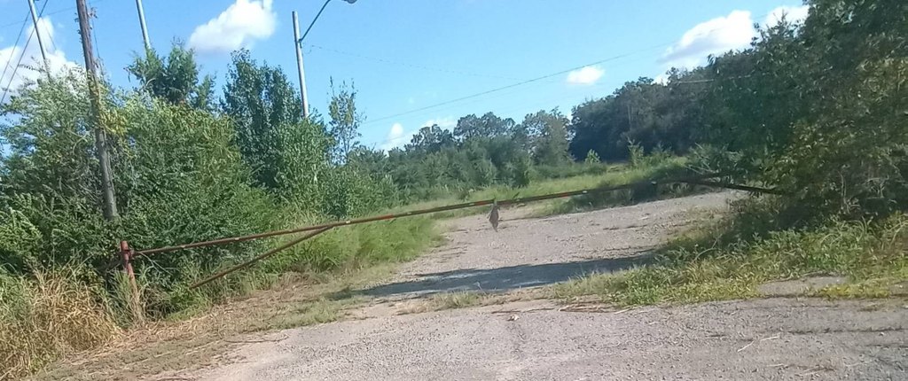 Picture 4