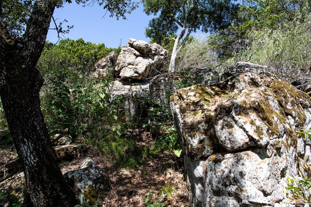 Picture 25