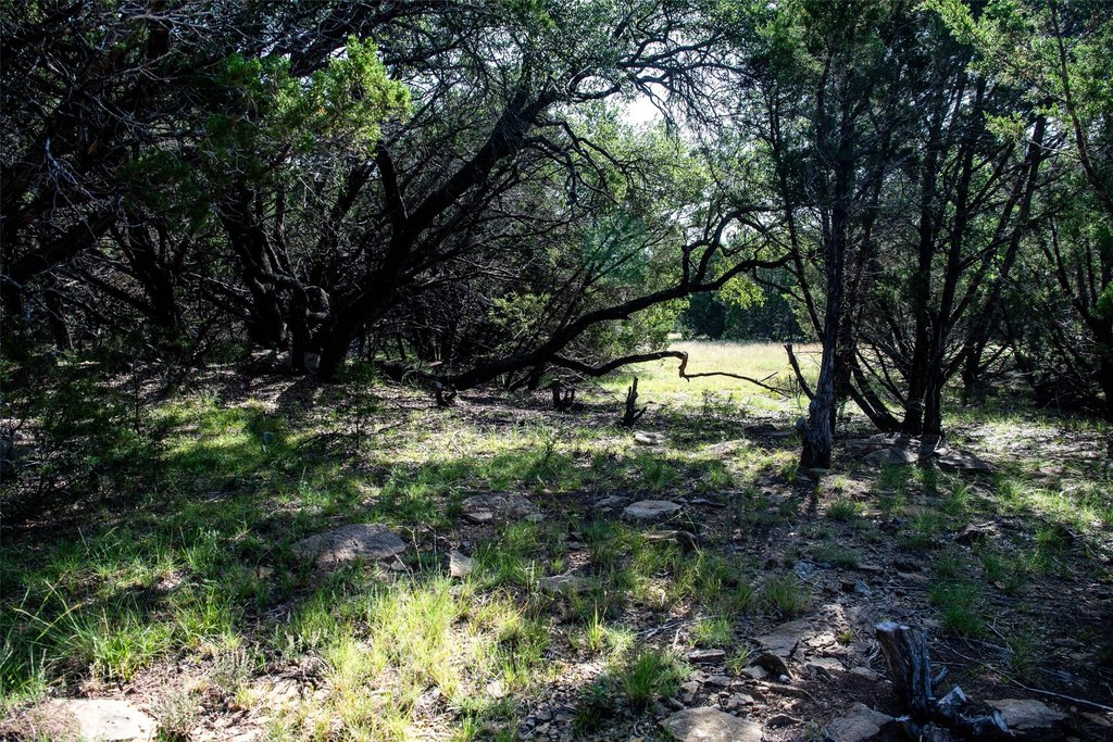 Picture 19