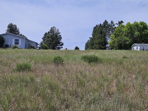 Land Near Oregon Shores