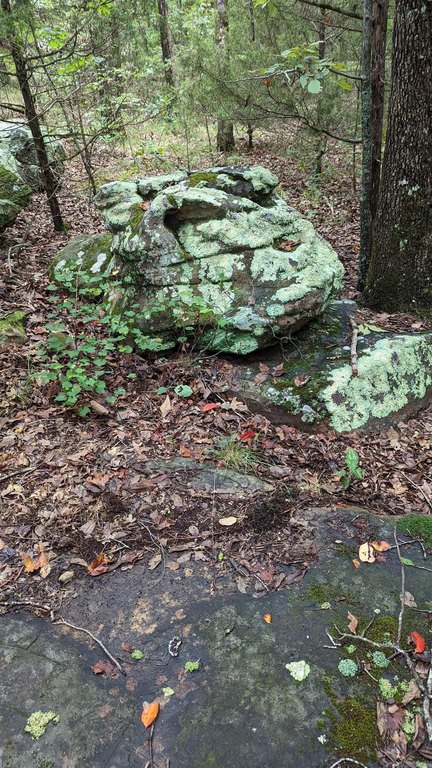Picture 21
