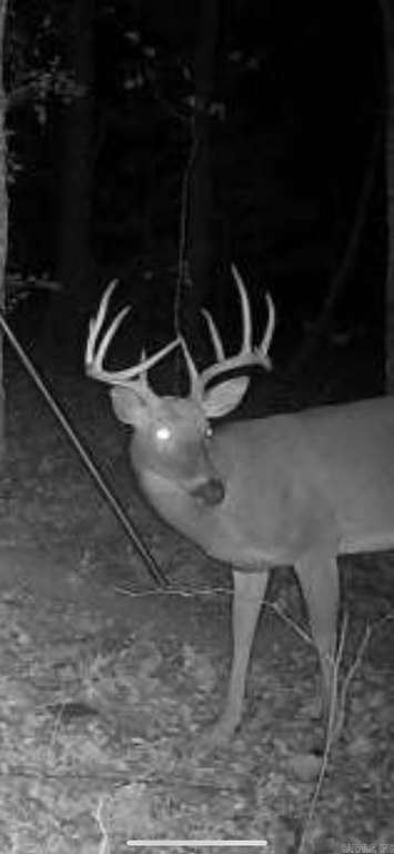 Picture 4