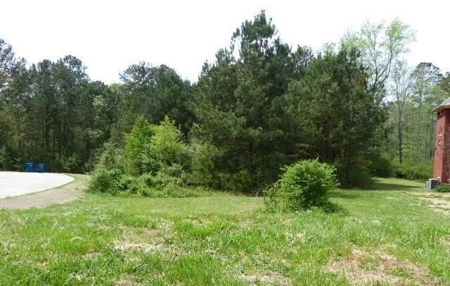 Picture 12