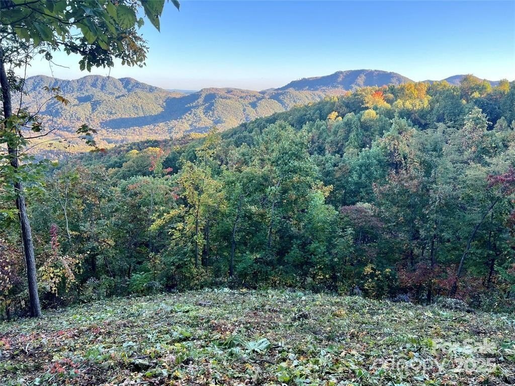 Black Mountain Land with Mountain Views