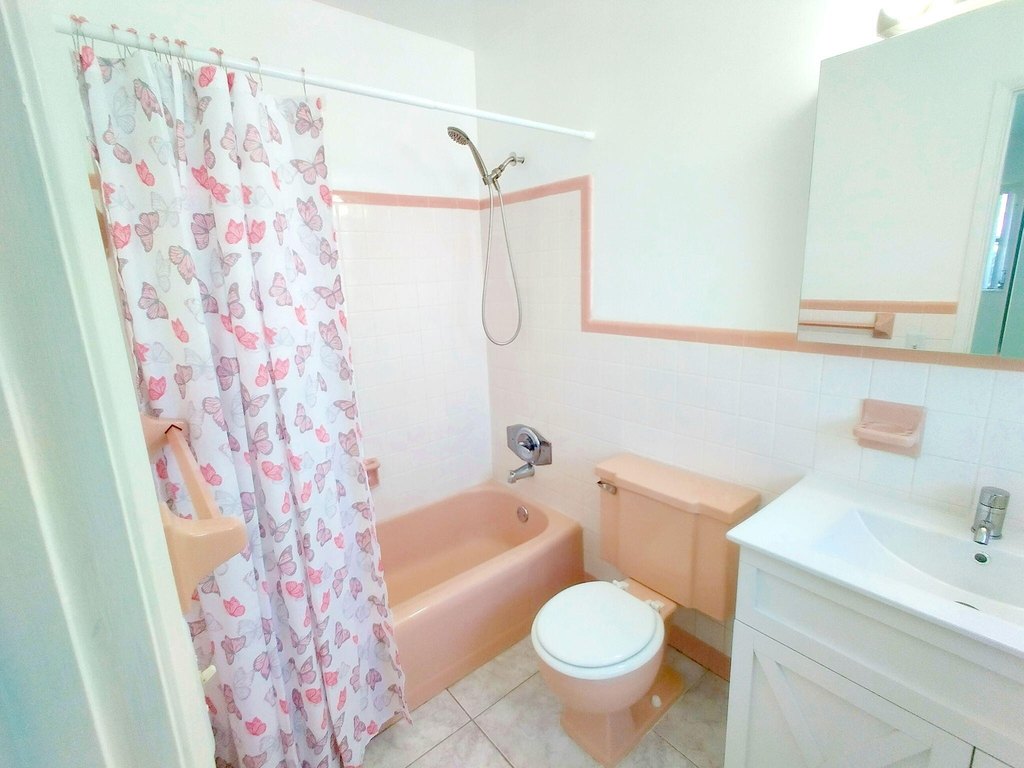 Picture 11