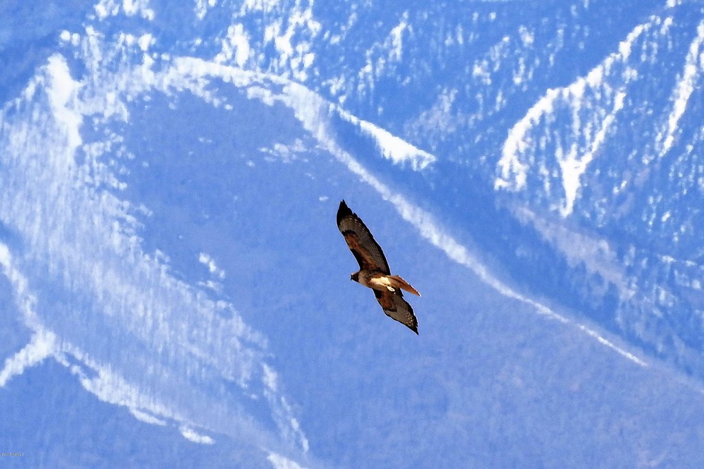 Picture 4