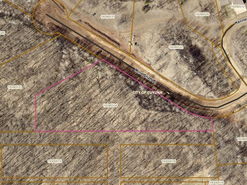 Lakeview Wooded Land Parcel