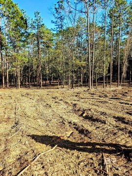 3.16 Acre Homesite Ready