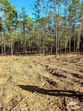 Build-Ready Homesite with Road Frontage
