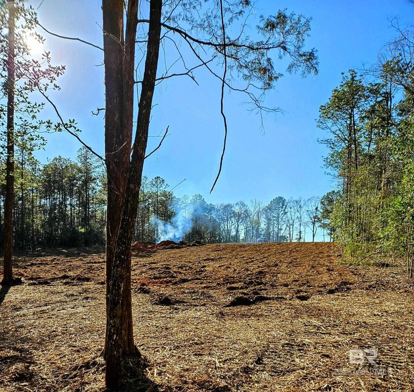 Picture 4