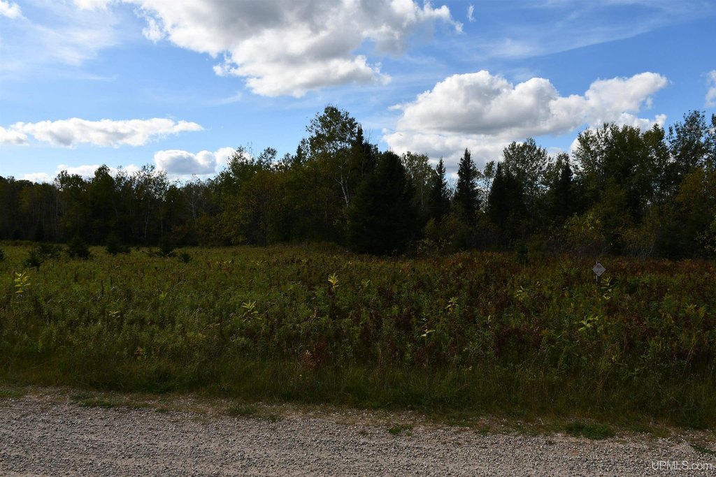Picture 7