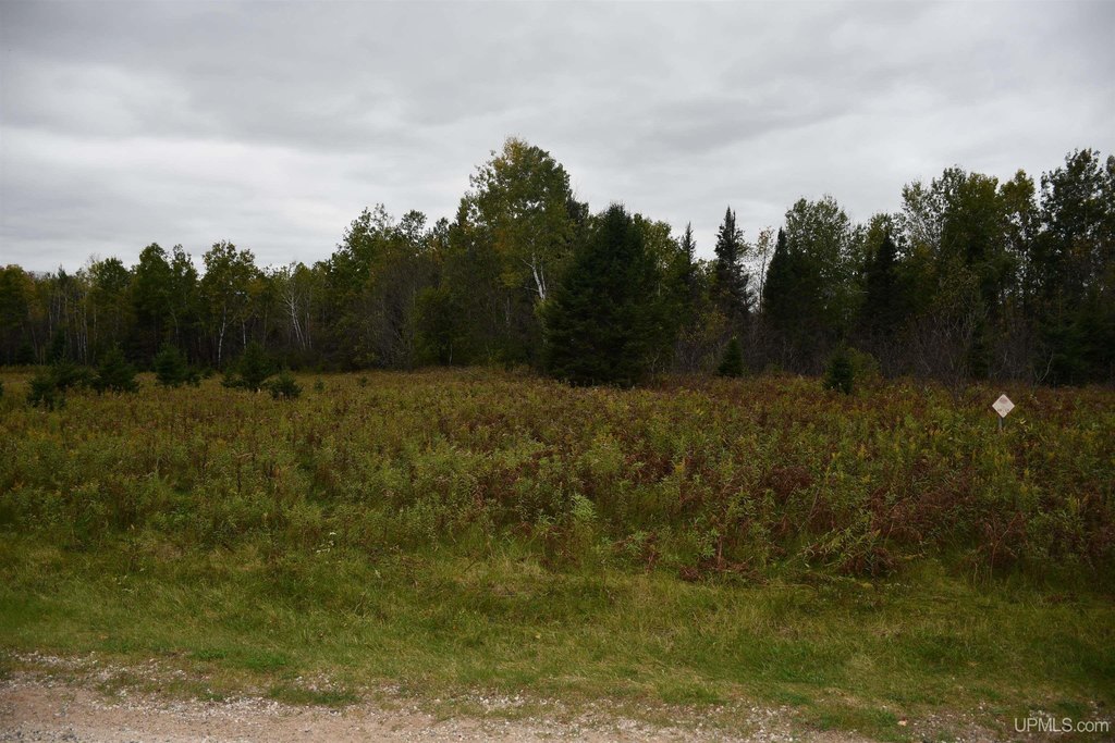 Picture 30