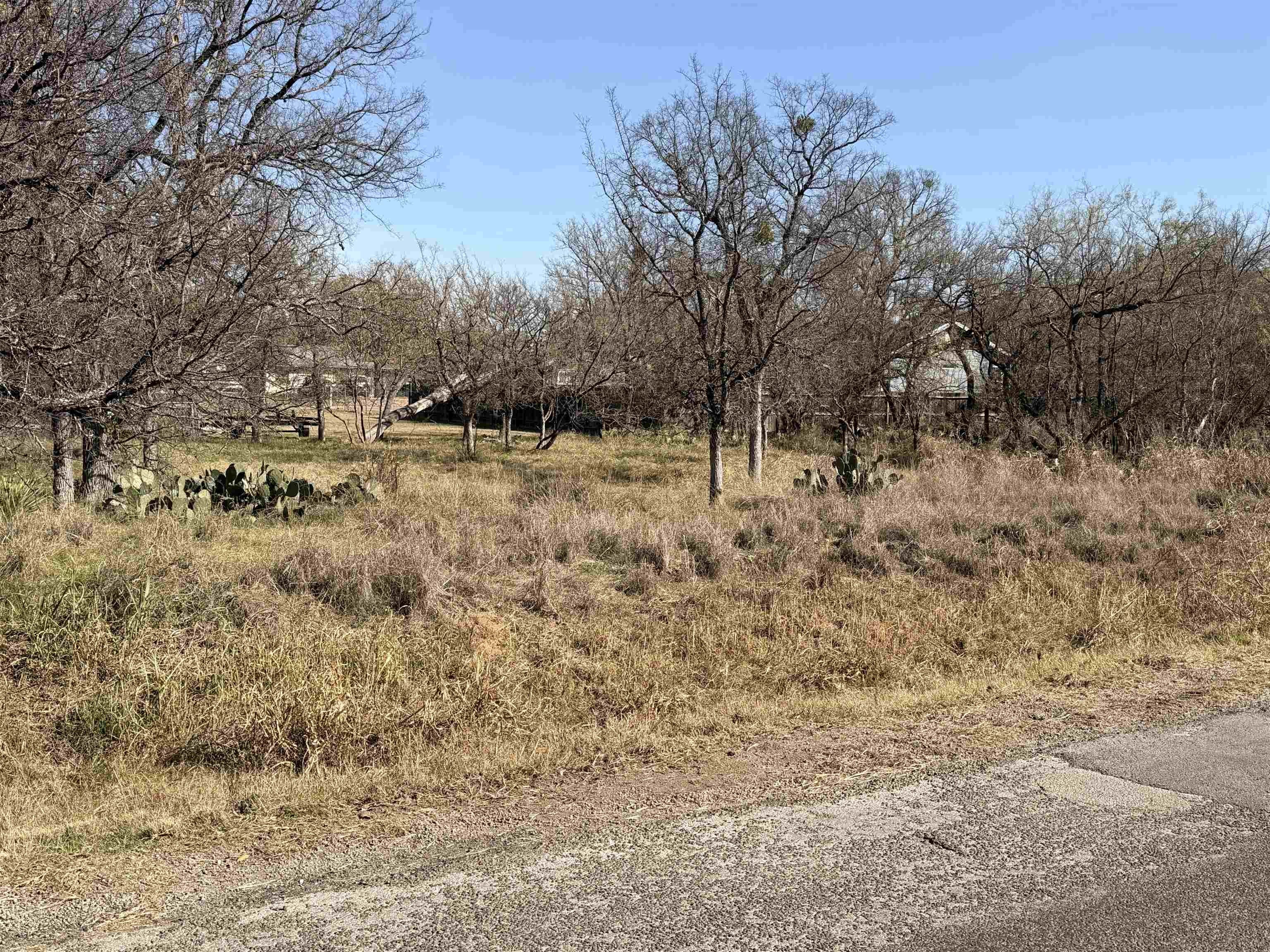 Granite Shoals Buildable Lots