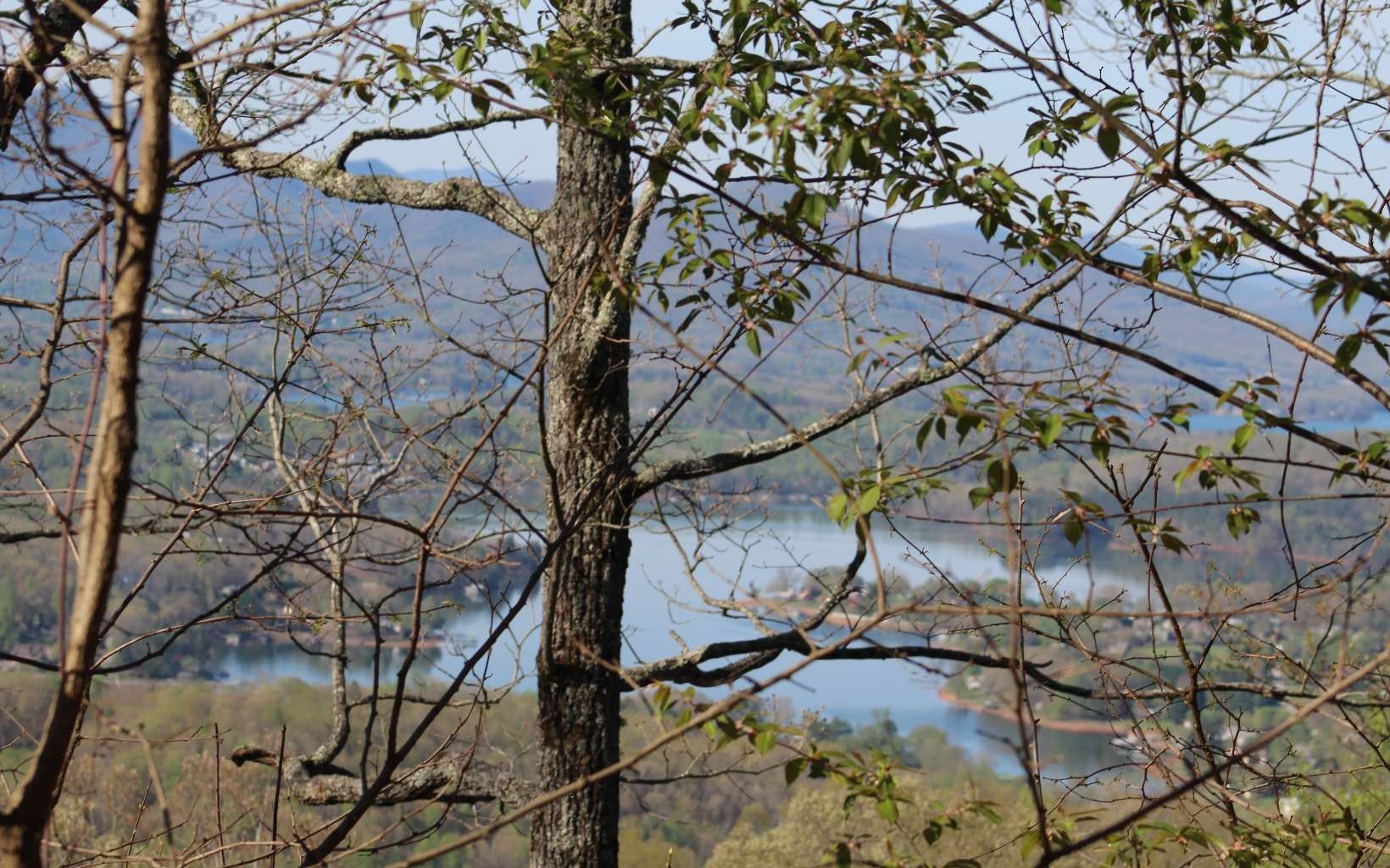 Hayesville Vacant Lot with Views