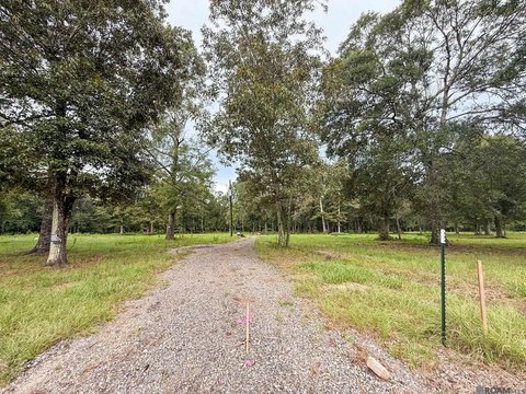 Livingston Land Near I-12