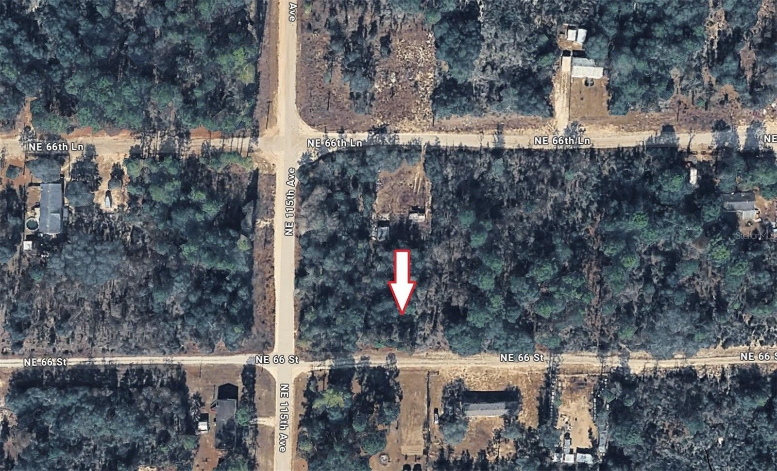 Williston, FL Land Opportunity
