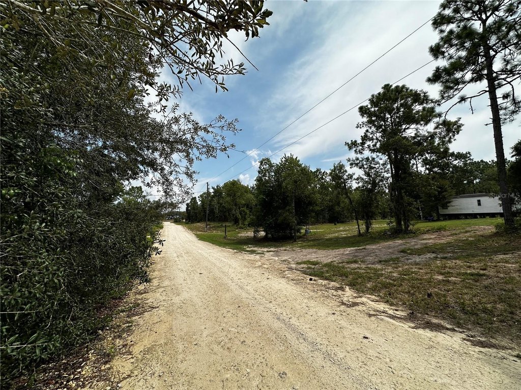 Picture 9