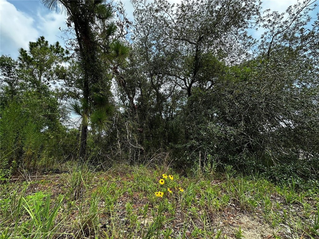Picture 5