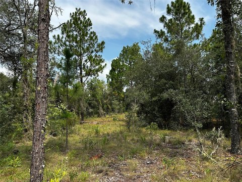 Agricultural/Rural Residential Building Lot
