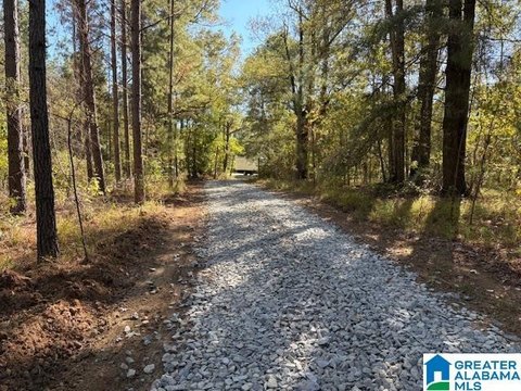 Timberland and Hunting Tract