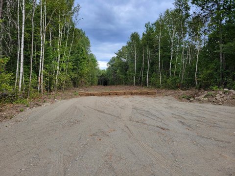 Wooded Land Parcel in Maine