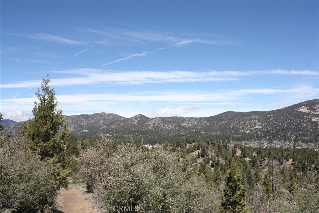 Picture 32