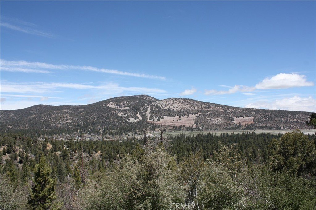 Picture 31