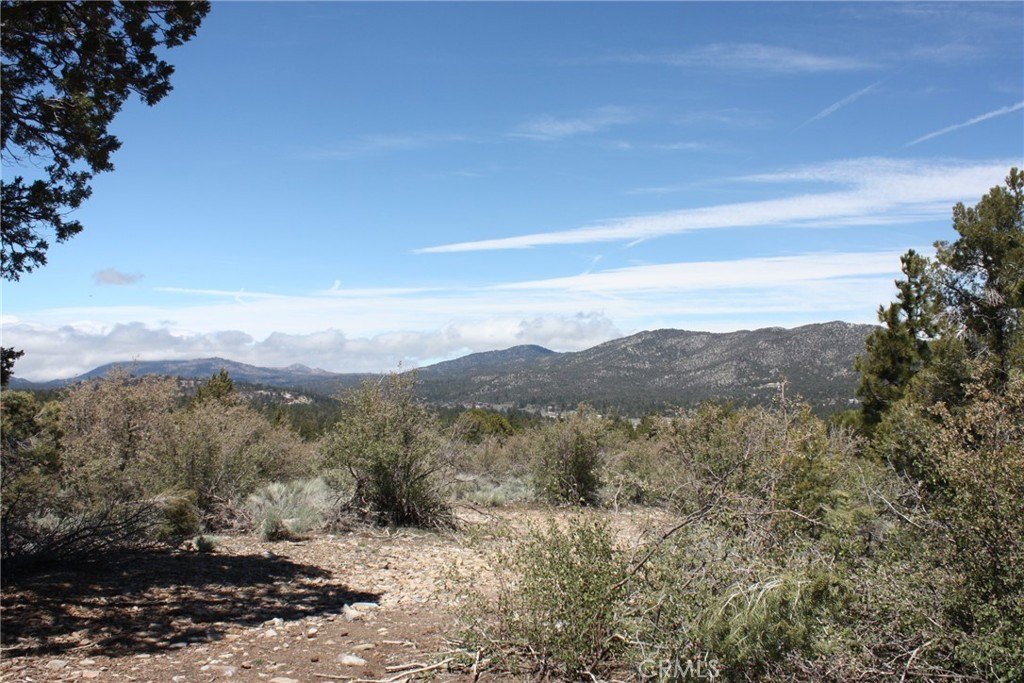 Picture 35
