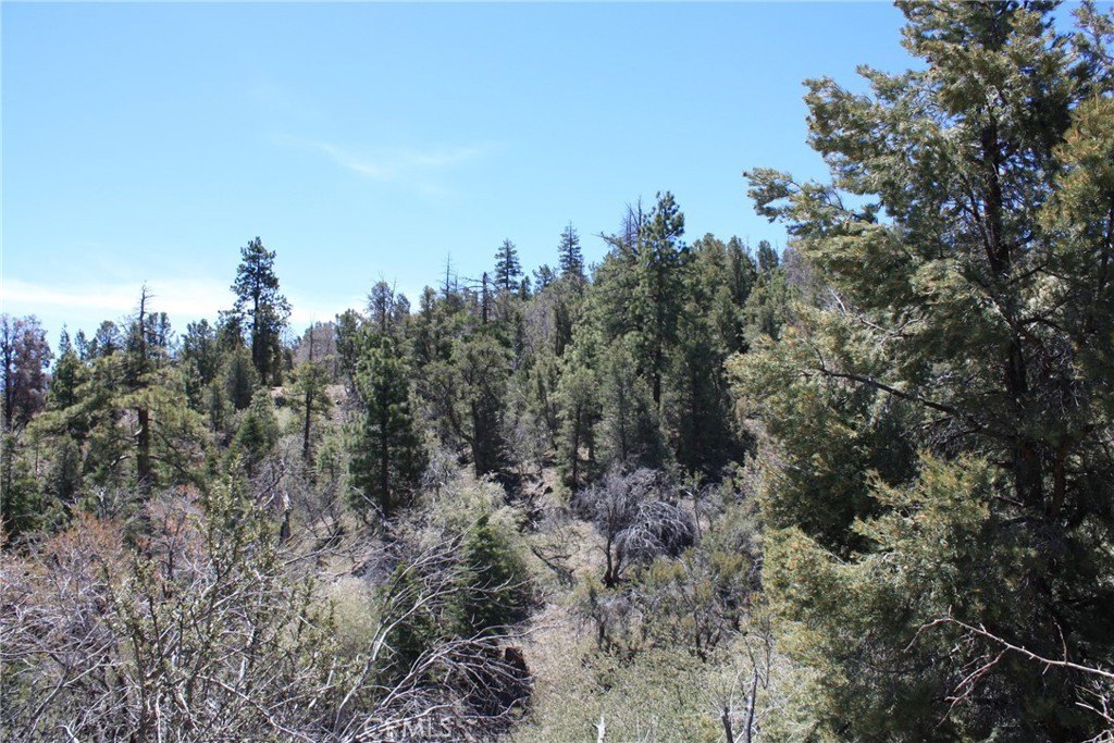 Picture 22