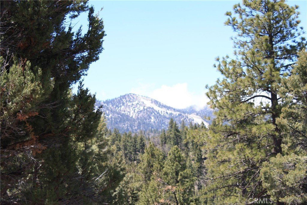 Picture 49