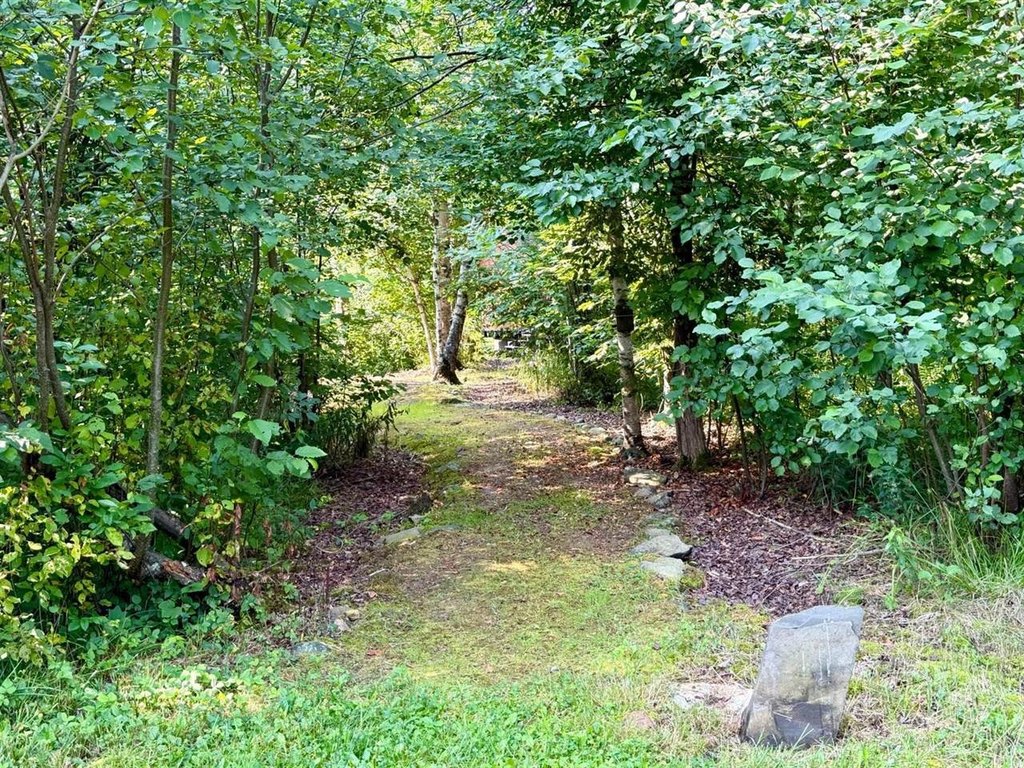 Picture 27