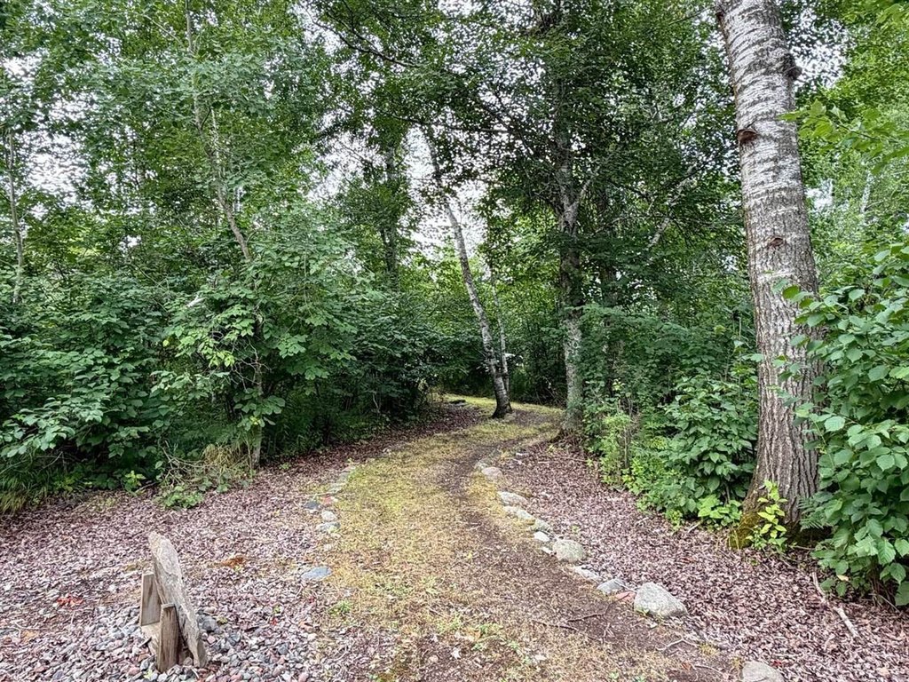 Picture 28