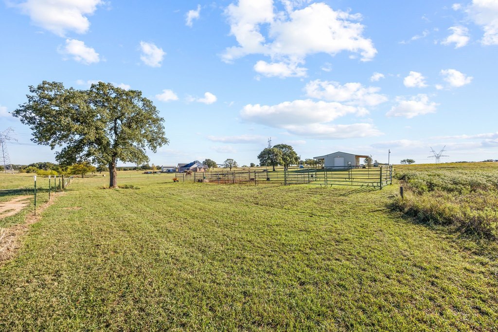Picture 19
