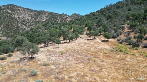 40 Acres in Caliente, CA