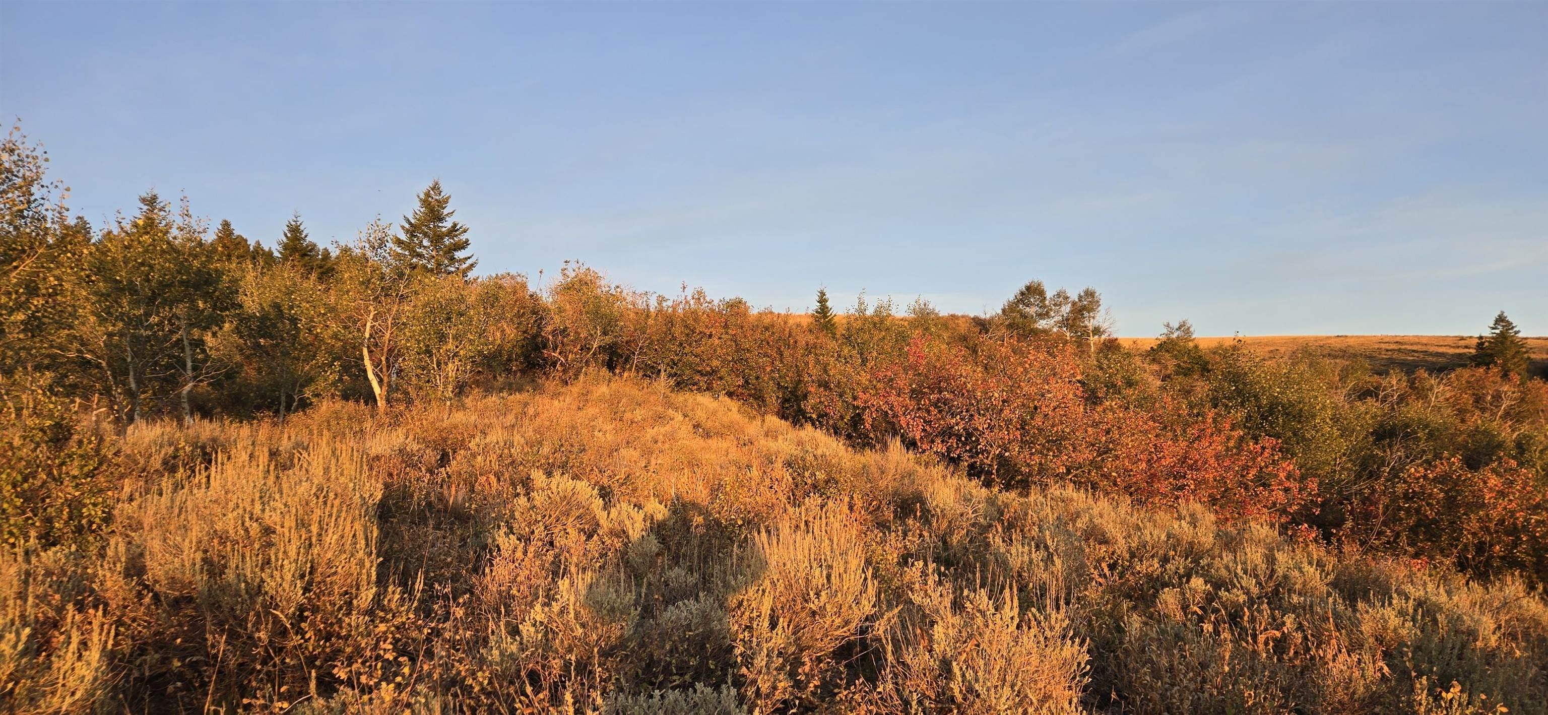 Arbon Valley Recreational Land