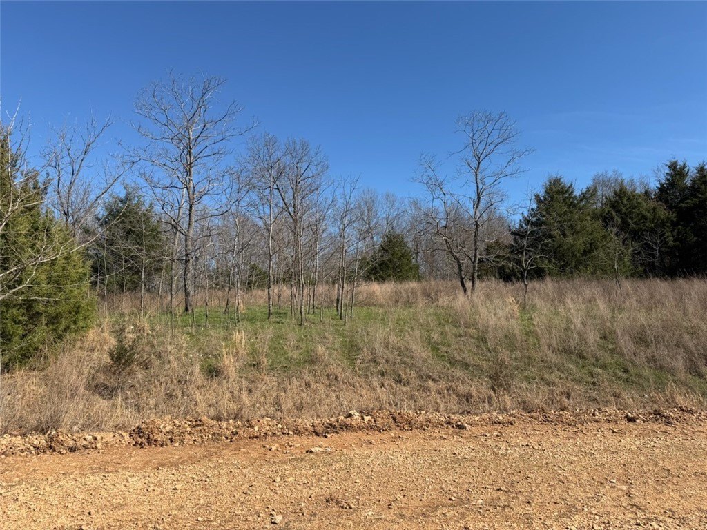 Unrestricted Land in Pyatt, AR