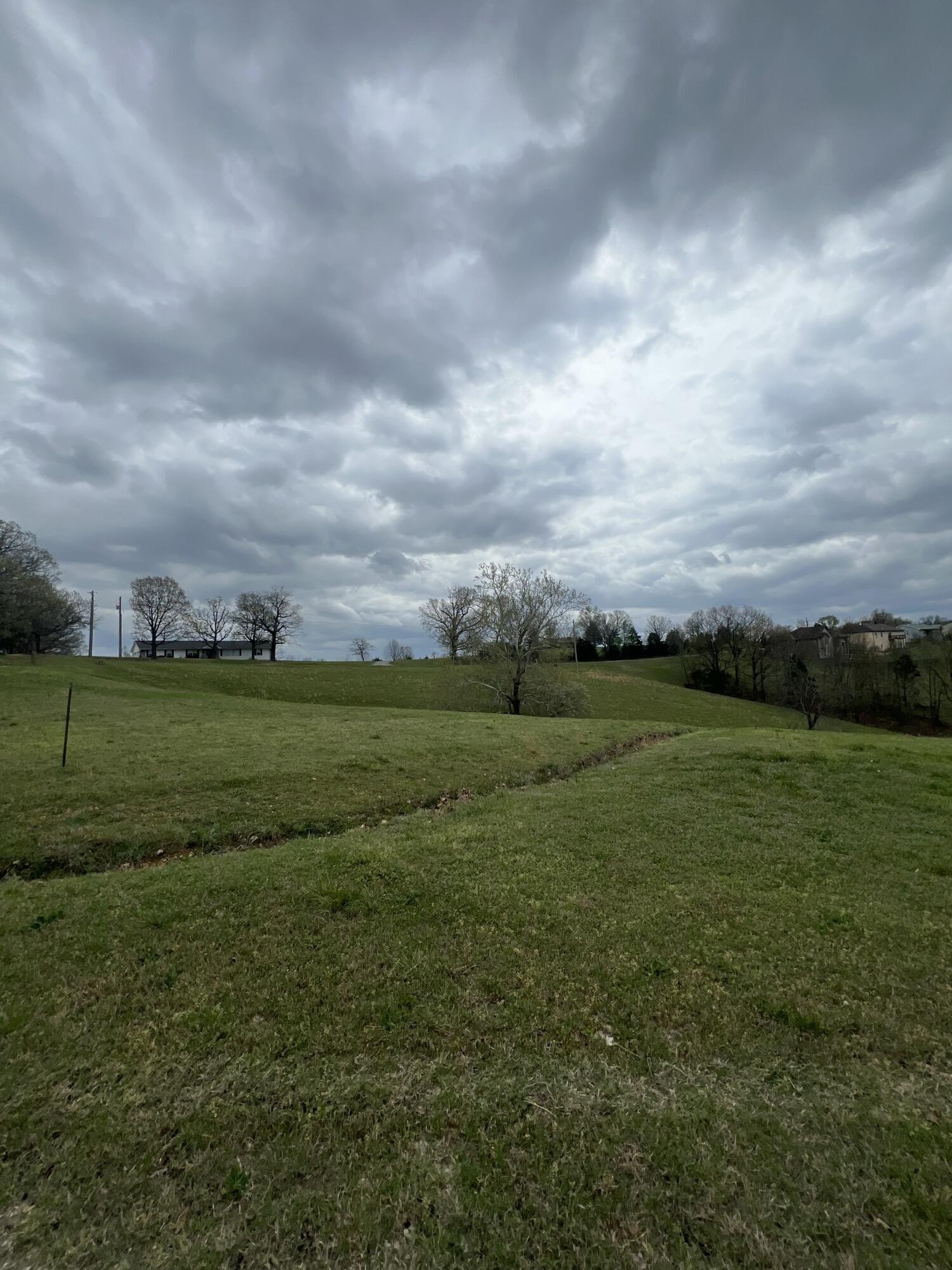 Land in Reeds Spring, MO